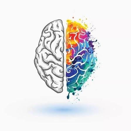 Nine Media Left Brain vs Right Brain Strategy